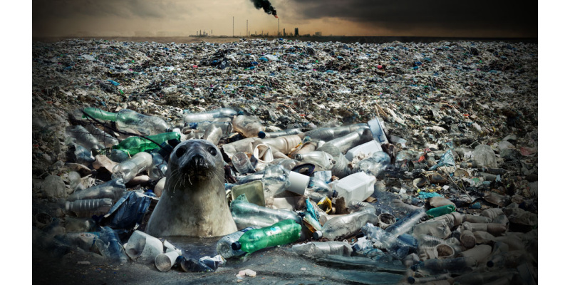 Contaminación por plásticos: Medidas tributarias  