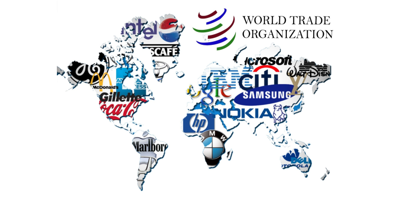 OMC: Relaciones entre lo político, lo económico y lo jurídico 